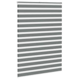 VidaXL store enrouleur zèbre 165x230 cm largeur de tissu 160,9 cm gris foncé