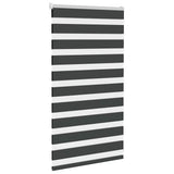 VidaXL store enrouleur zèbre 70x100 cm largeur de tissu 65,9 cm noir