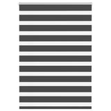 VidaXL store enrouleur zèbre 95x100 cm largeur de tissu 90,9 cm noir