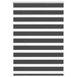 VidaXL store enrouleur zèbre 100x100 cm largeur de tissu 95,9 cm noir