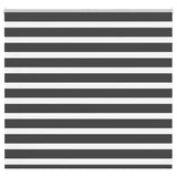 Vidaxx store enrouleur zèbre 160x100 cm largeur de tissu 155,9 cm noir