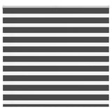 Vidaxx store enrouleur zèbre 165x100 cm largeur de tissu 160,9 cm noir