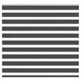 VidaXL store enrouleur zèbre 160x150 cm largeur de tissu 155,9 cm noir