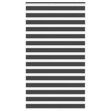 VidaXL store enrouleur zèbre 135x200 cm largeur de tissu 130,9 cm noir