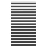 VidaXL store enrouleur zèbre 120x230 cm largeur de tissu 115,9 cm noir