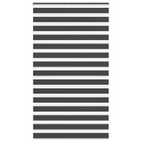 VidaXL store enrouleur zèbre 125x230 cm largeur de tissu 120,9 cm noir