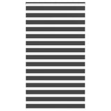 VidaXL store enrouleur zèbre 130x230 cm largeur de tissu 125,9 cm noir