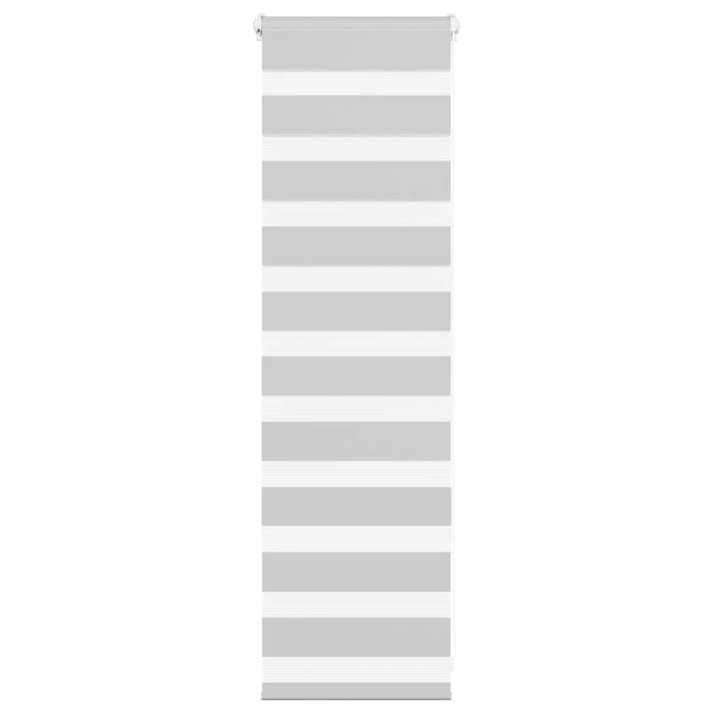 VidaXL store enrouleur zèbre 40x100 cm largeur de tissu 35,9 cm gris clair