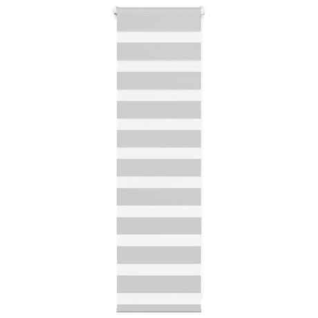 VidaXL store enrouleur zèbre 40x100 cm largeur de tissu 35,9 cm gris clair