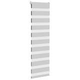 Vidaxl Zebra Roller Blind 40x100 cm Staubbreite 35,9 cm hellgrau