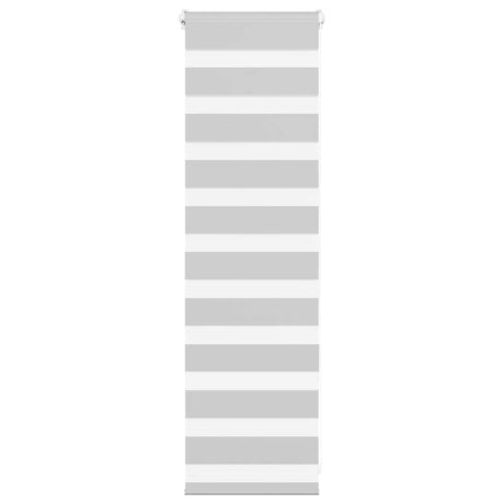 VidaXL store enrouleur zèbre 45x100 cm largeur de tissu 40,9 cm gris clair