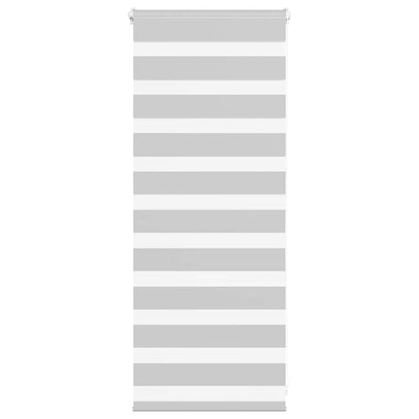 VidaXL store enrouleur zèbre 55x100 cm largeur de tissu 50,9 cm gris clair