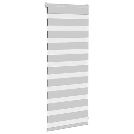 VidaXL store enrouleur zèbre 55x100 cm largeur de tissu 50,9 cm gris clair