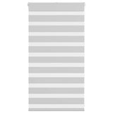 VidaXL store enrouleur zèbre 90x100 cm largeur de tissu 85,9 cm gris clair