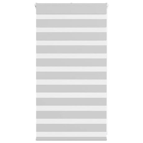 VidaXL store enrouleur zèbre 90x100 cm largeur de tissu 85,9 cm gris clair