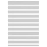 VidaXL store enrouleur zèbre 100x100 cm largeur de tissu 95,9 cm gris clair
