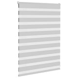 Vidaxl zebra rullo cieco 105x100 cm Larghezza tessuto 100,9 cm grigio chiaro