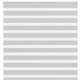 VidaXL store enrouleur zèbre 150x100 cm largeur de tissu 145,9 cm gris clair