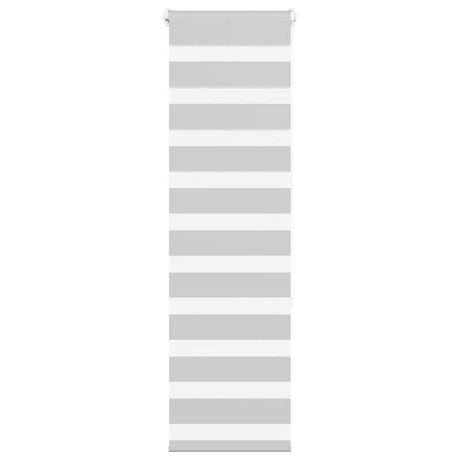 VidaXL store enrouleur zèbre 40x150 cm largeur de tissu 35,9 cm gris clair