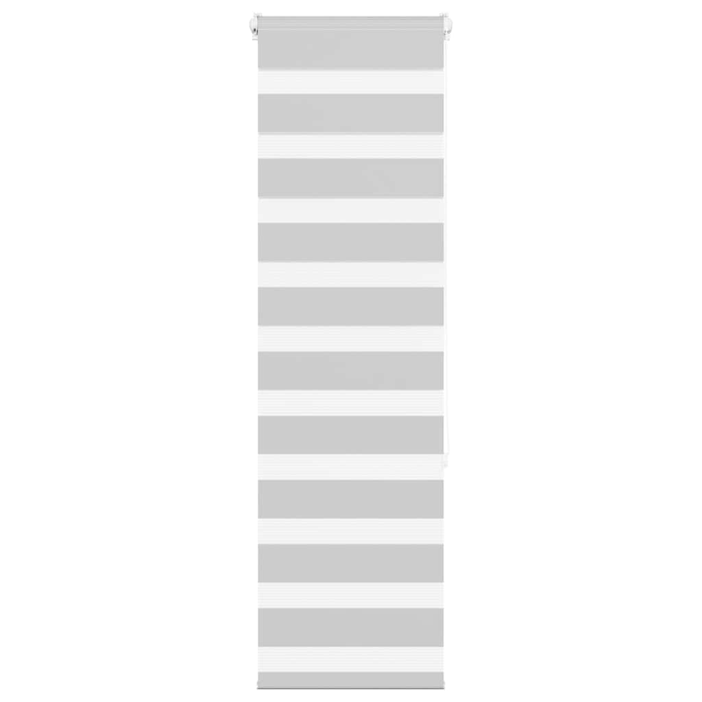 VidaXL store enrouleur zèbre 50x150 cm largeur de tissu 45,9 cm gris clair