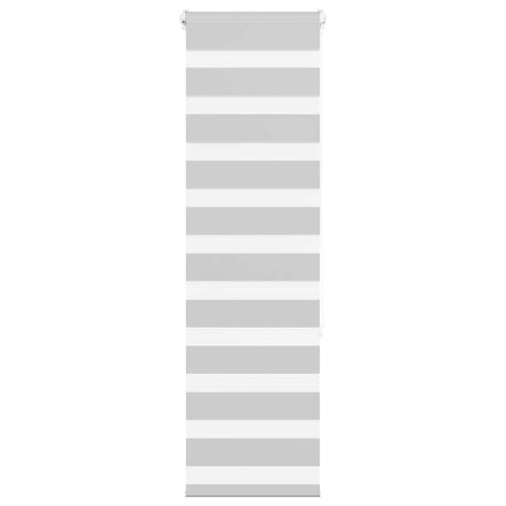 VidaXL store enrouleur zèbre 50x150 cm largeur de tissu 45,9 cm gris clair