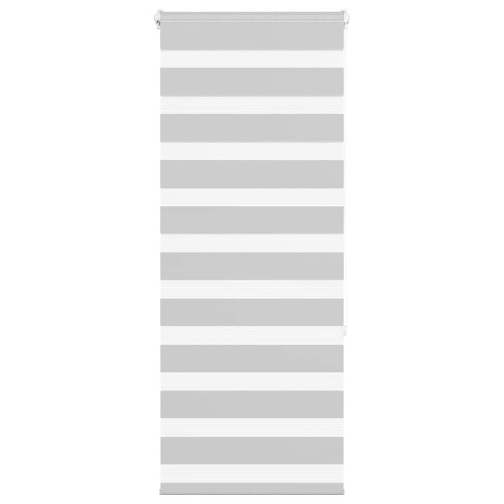 VidaXL store enrouleur zèbre 60x150 cm largeur de tissu 55,9 cm gris clair