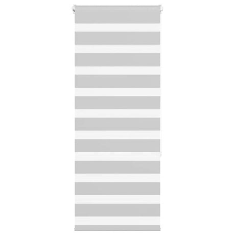 VidaXL store enrouleur zèbre 60x150 cm largeur de tissu 55,9 cm gris clair
