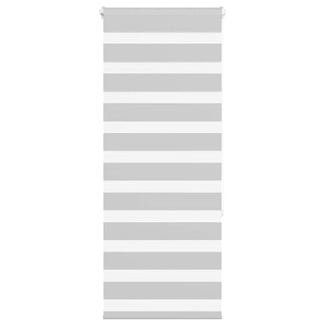VidaXL store enrouleur zèbre 65x150 cm largeur de tissu 60,9 cm gris clair