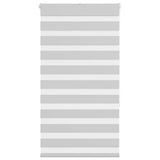 VidaXL store enrouleur zèbre 70x150 cm largeur de tissu 65,9 cm gris clair