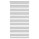 VidaXL store enrouleur zèbre 75x150 cm largeur de tissu 70,9 cm gris clair