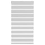 VidaXL store enrouleur zèbre 80x150 cm largeur de tissu 75,9 cm gris clair
