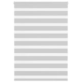 VidaXL store enrouleur zèbre 100x150 cm largeur de tissu 95,9 cm gris clair