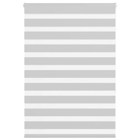 VidaXL store enrouleur zèbre 100x150 cm largeur de tissu 95,9 cm gris clair
