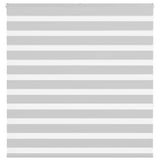 VidaXL store enrouleur zèbre 145x150 cm largeur de tissu 140,9 cm gris clair
