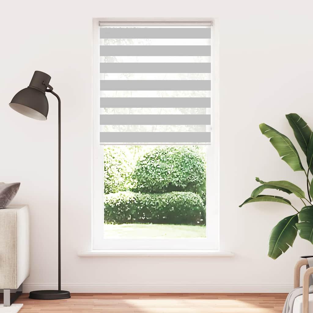 VidaXL store enrouleur zèbre 100x230 cm largeur de tissu 95,9 cm gris clair
