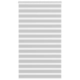VidaXL store enrouleur zèbre 120x230 cm largeur de tissu 115,9 cm gris clair