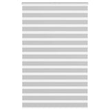 VidaXL store enrouleur zèbre 150x230 cm largeur de tissu 145,9 cm gris clair