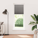 Vidaxl plissé rolgordijn 70x200 cm stofbreedte 69,4 cm antraciet
