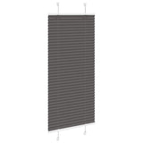 Vidaxl plissé rolgordijn 65x100 cm stofbreedte 64,4 cm polyester zwart
