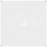 VidaXL bâche transparente avec œillets 2x2 m PVC