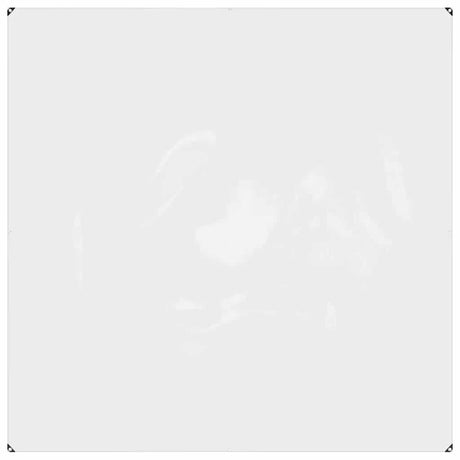 VidaXL bâche transparente avec œillets 2x2 m PVC