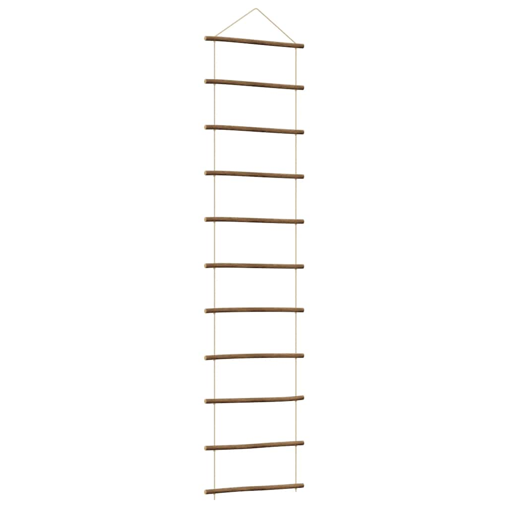 Vidaxl wanddecoratie laddervormig 50x200 cm naturel tak