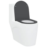 Vidaxl toiletzitting antraciet 47 x 36 x 3,4 cm duroplast