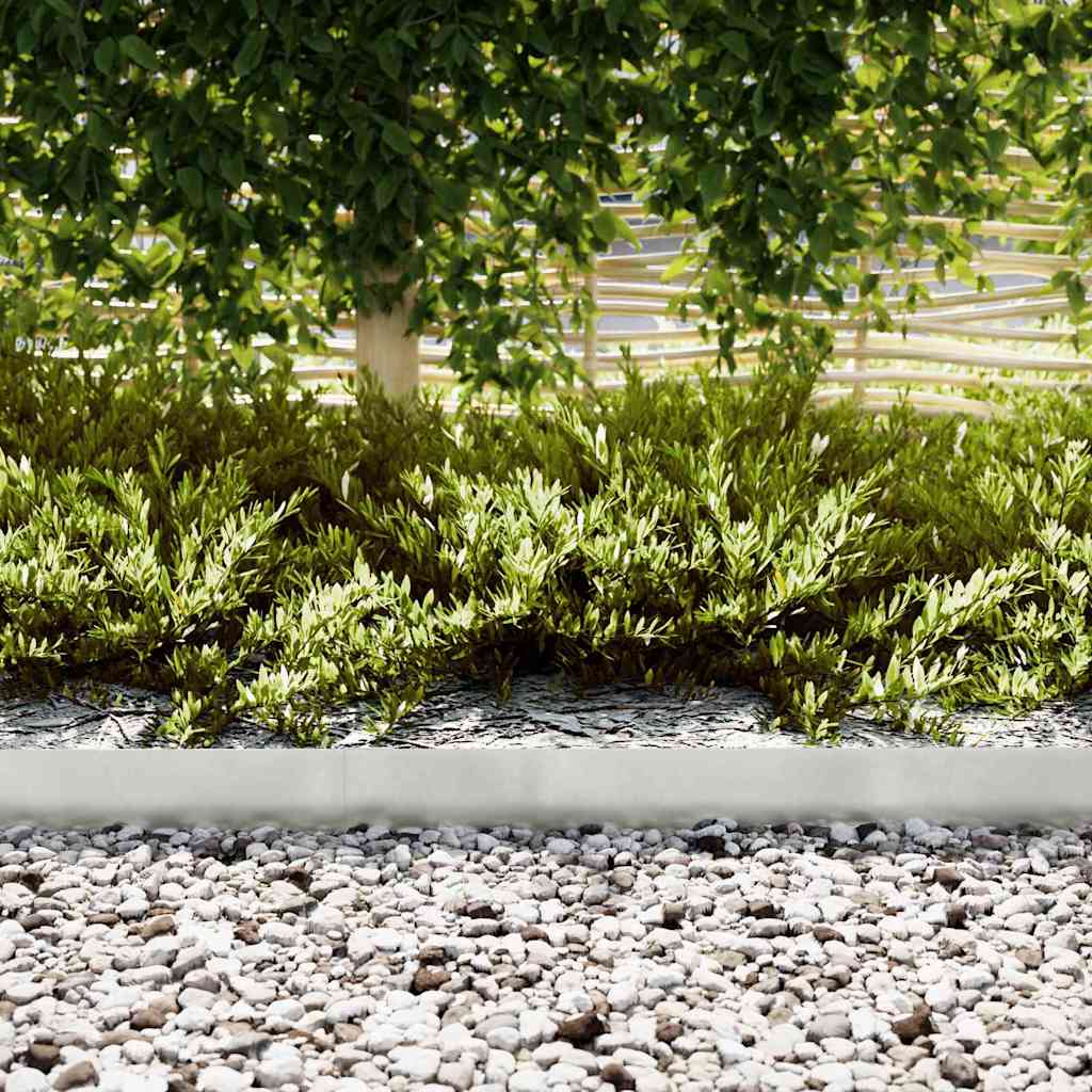 Vidaxl tuinrand 30 pcs zilver 100 x 0.05 x 20 cm roestvrij staal