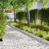 Vidaxl tuinrand 30 pcs zilver 100 x 0.05 x 20 cm roestvrij staal