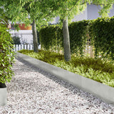Vidaxl tuinrand 10 pcs zilver 100 x 0.05 x 20 cm roestvrij staal