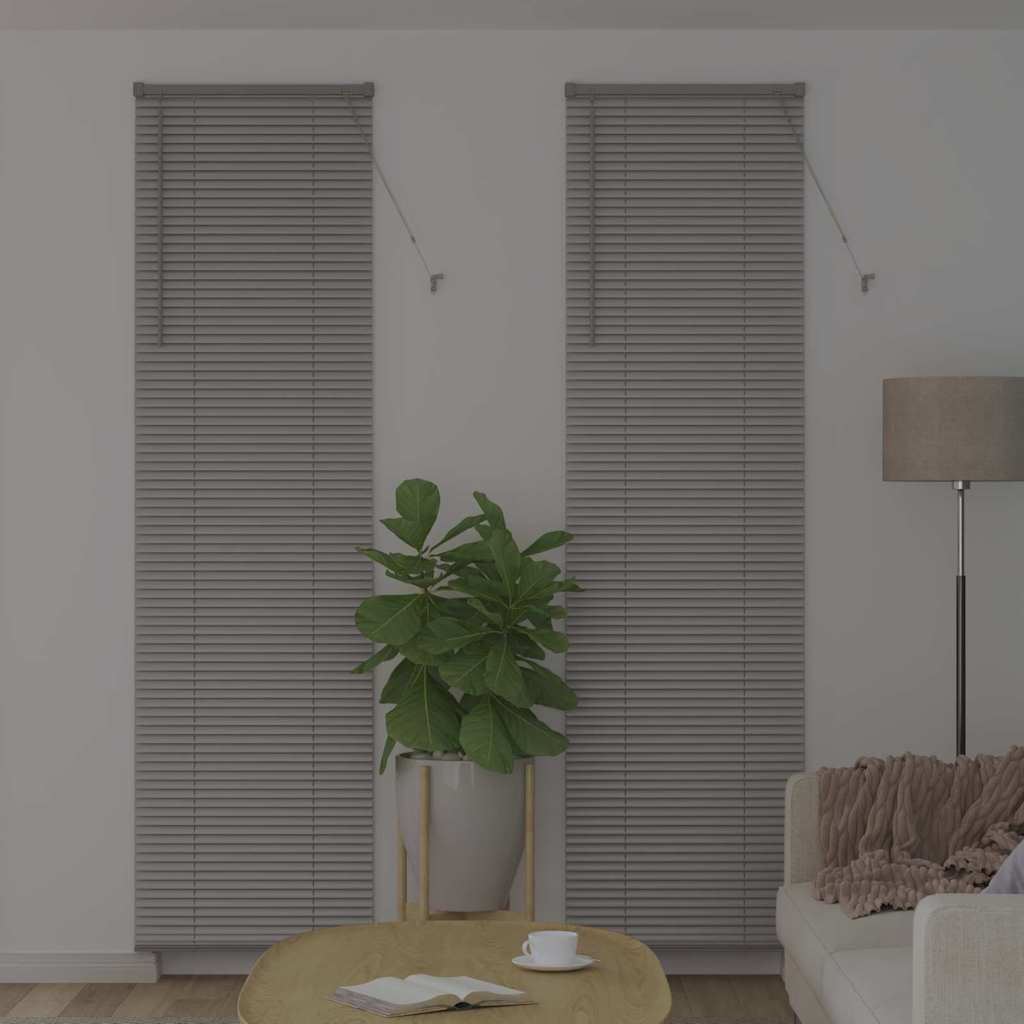 Vidaxl venetiaanse jaloezieën zilver 220 x 65 cm aluminium