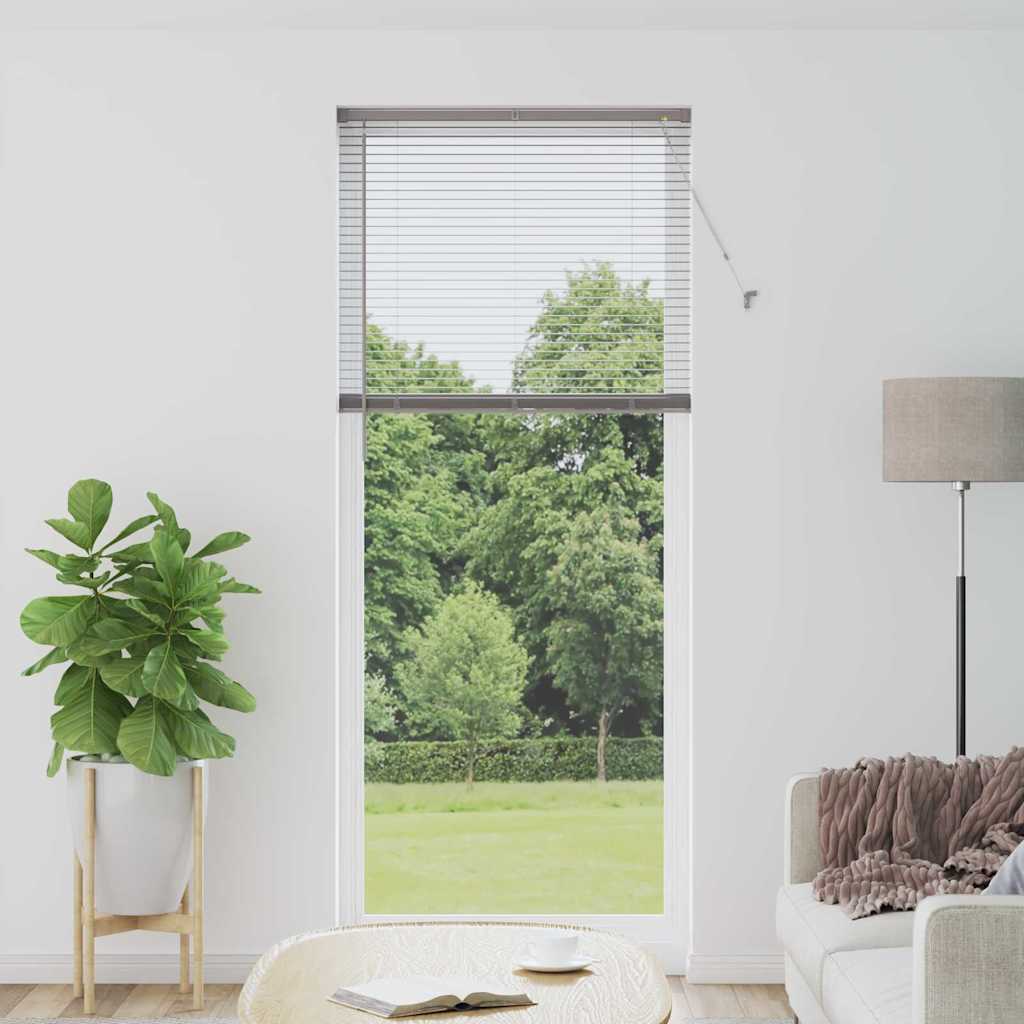 Vidaxl venetiaanse jaloezieën zilver 220 x 85 cm aluminium