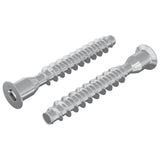 Vidaxl bevestigingsschroeven 2 pcs zilver ø7 x 50 mm metaal