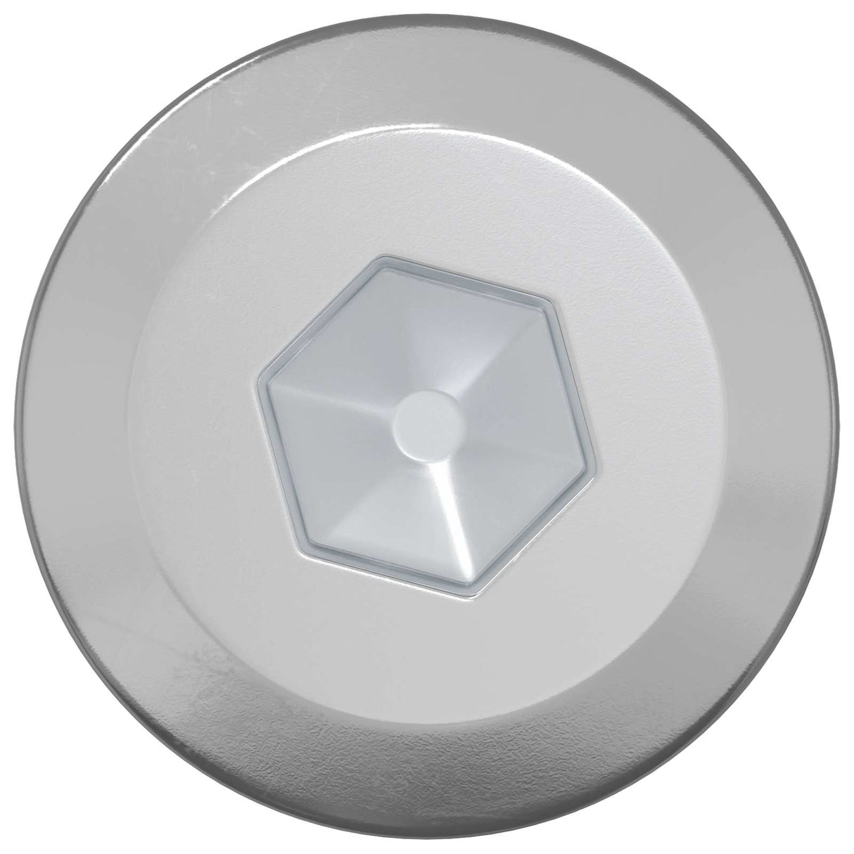 Vidaxl houten schroeven 1900 pcs zilver staal